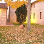 Vecchio Granaio *