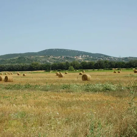 Εξοχικό σπίτι Vecchio Granaio