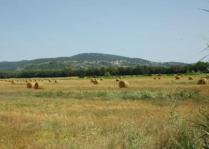 Gospodarstwo wiejskie Vecchio Granaio