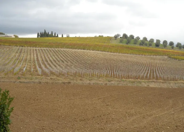 Gospodarstwo wiejskie Vecchio Granaio Magione